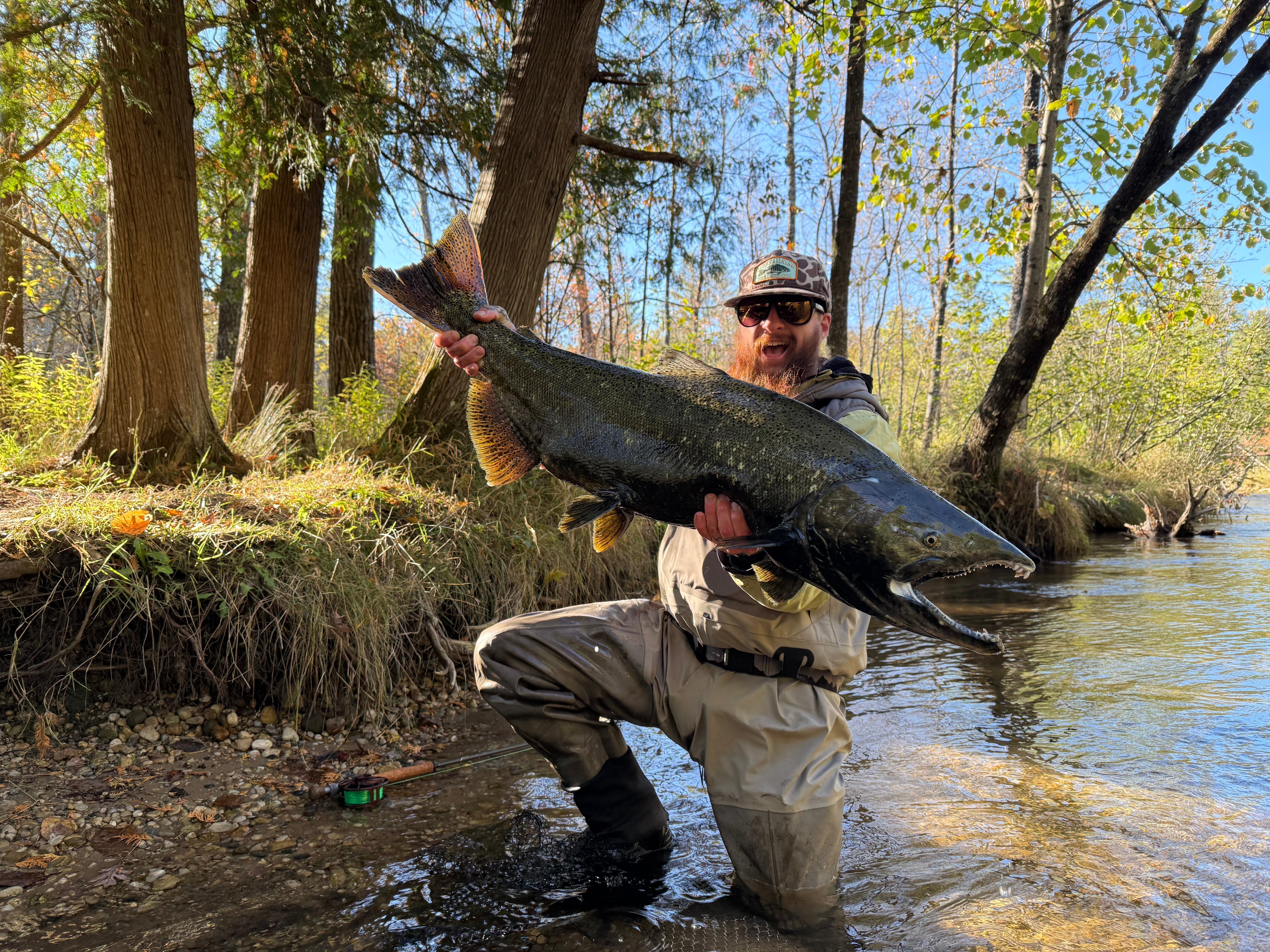 Fly Fishing For Michigan Salmon